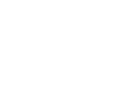 Icon Wohnmobil